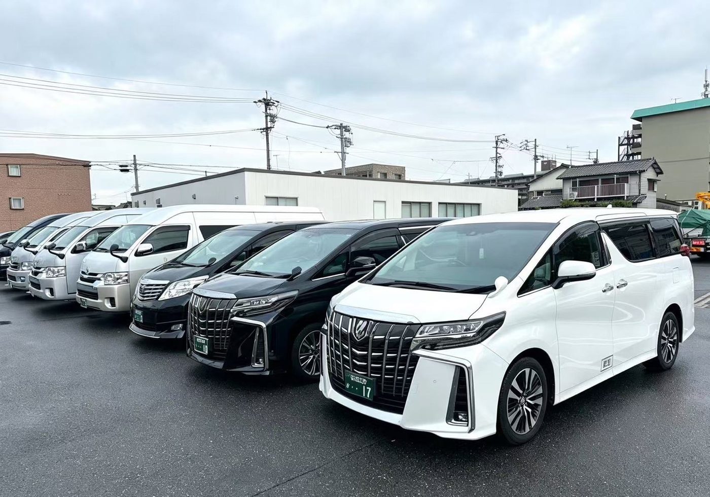 名古屋包車車隊 阿爾法與海獅